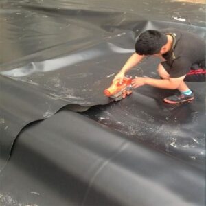 Read more about the article The Resilient World of HDPE Sheets: A Masterclass in Versatility