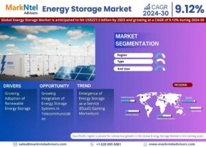 Read more about the article Energy Storage Market Geographical Insights, Competitor Landscape, and Industry Future Scope 2024-2030
