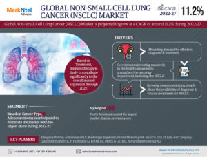 Read more about the article Non-Small Cell Lung Cancer Market’s Path to Massive Growth: Insights and Players Driving the Momentum