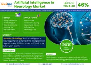 Read more about the article Global Artificial Intelligence in Neurology Market Booming Worldwide with Latest Trend and Future Scope by 2030