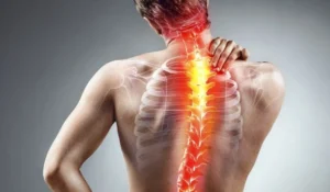 Read more about the article After Reading This, Your Back Discomfort Will Thank You