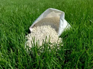 Read more about the article NPK Fertilizer: Boosting Crop Growth and Yield