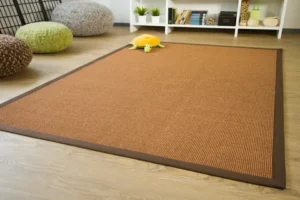 Read more about the article Sisal Carpets in Traditional and Modern Homes